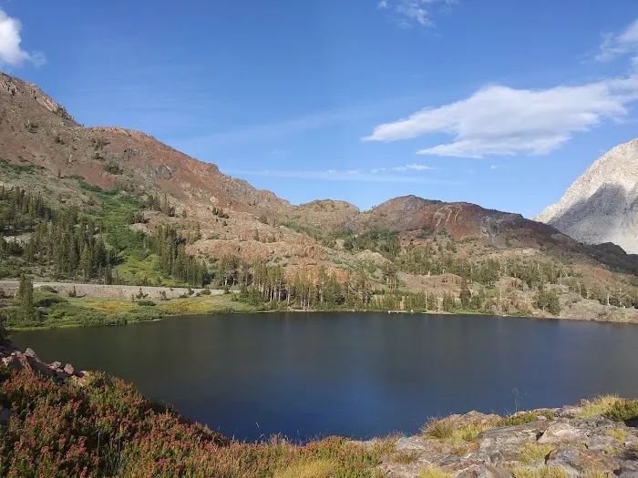 Ellery Lake Campground Picture 8