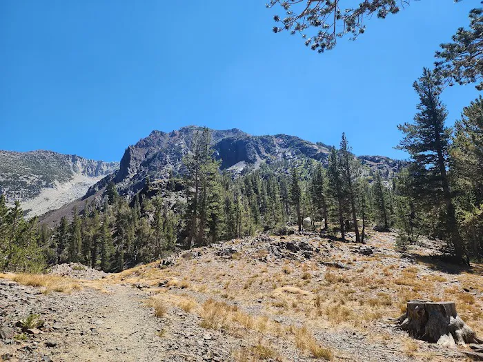 Ellery Lake Campground Picture 1