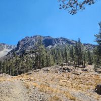 Ellery Lake Campground ico