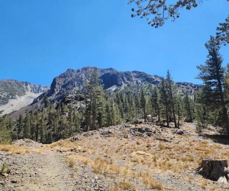 Ellery Lake Campground