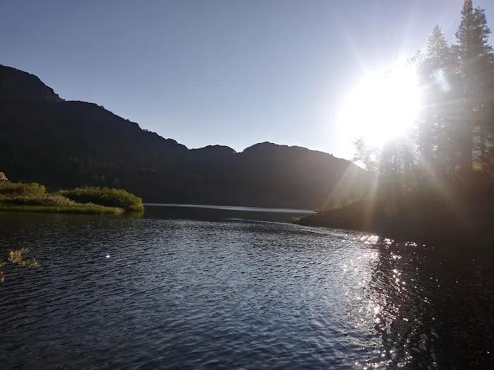 Ellery Lake Campground Picture 10