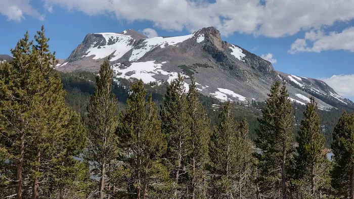 Ellery Lake Campground Picture 9