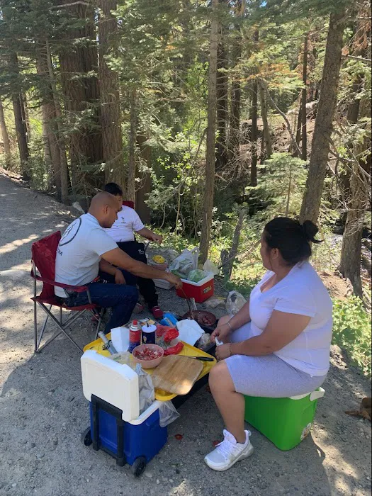 Big Bend Campground Picture 4
