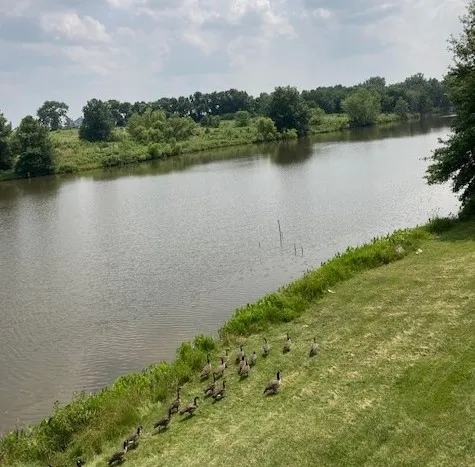 Lakeside Estates RV & Mobile Picture 2