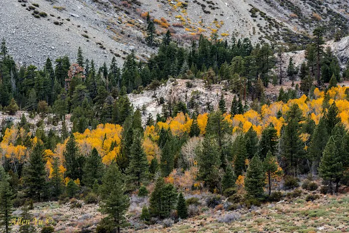 Aspen Campground Picture 2