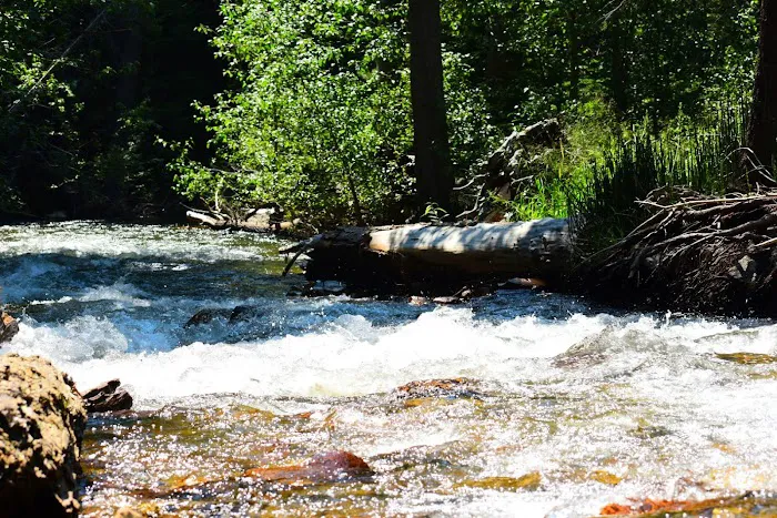Aspen Campground Picture 4