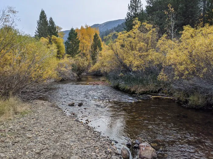 Aspen Campground Picture 8