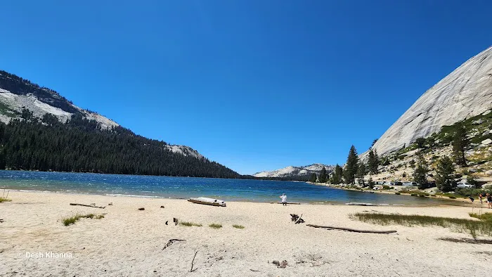 Tioga Lake Campground Picture 1