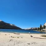 Tioga Lake Campground