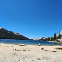 Tioga Lake Campground ico