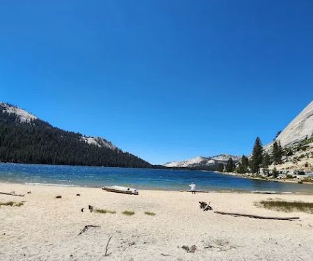 Tioga Lake Campground