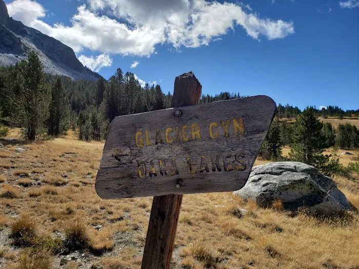 Tioga Lake Campground Picture 10