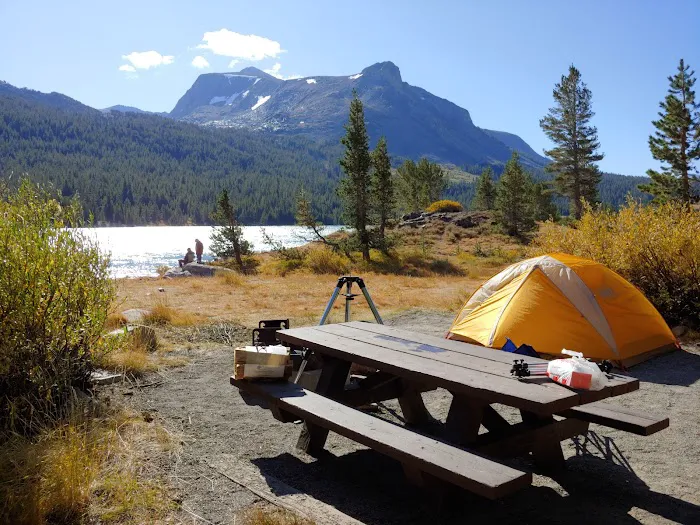 Tioga Lake Campground Picture 4