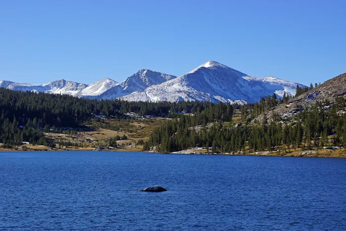 Tioga Lake Campground Picture 3