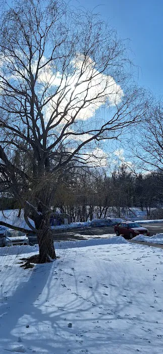 Cottage Grove Picture 3