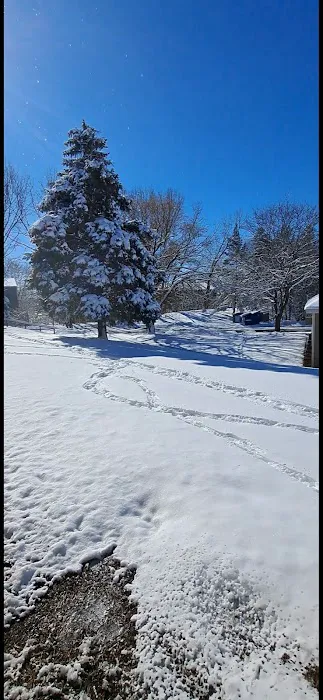 Cottage Grove Picture 5