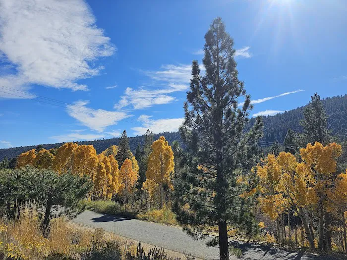 Moraine Campground Picture 9