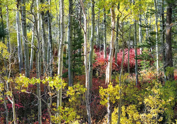 Moraine Campground Picture 1