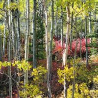 Moraine Campground ico