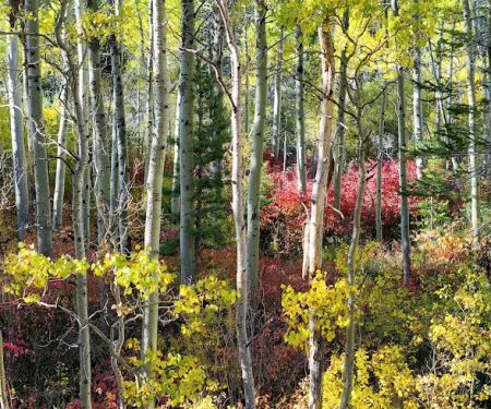 Moraine Campground