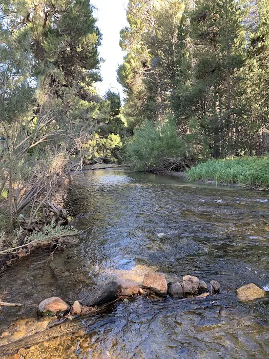 Moraine Campground Picture 4