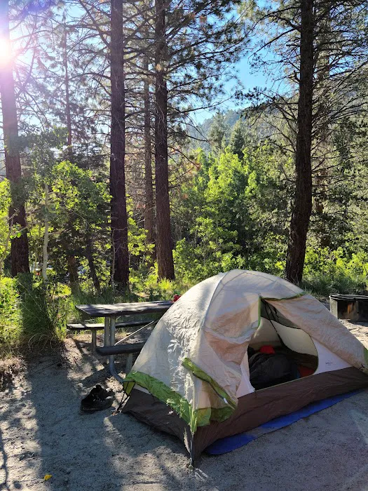 Lower Lee Vining Campground Picture 7
