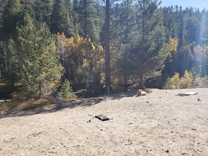 Lower Lee Vining Campground Picture 10
