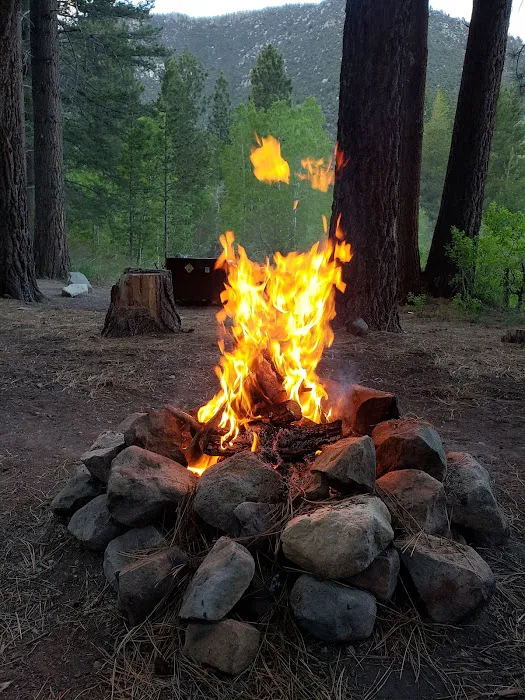 Lower Lee Vining Campground Picture 8