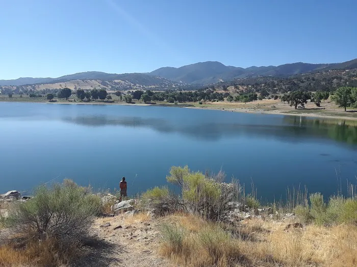 Lower Lee Vining Campground Picture 9