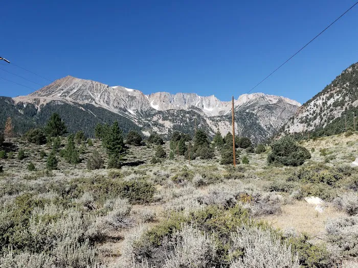 Lower Lee Vining Campground Picture 2