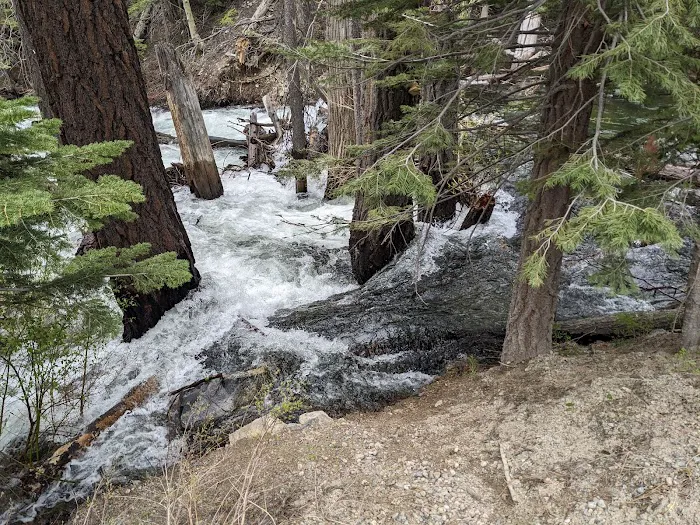 Lower Lee Vining Campground Picture 6