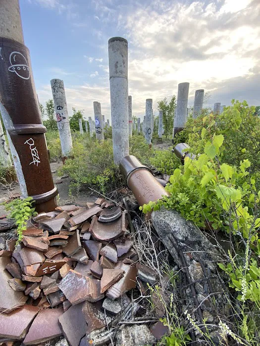 Rosemount Woods Picture 10