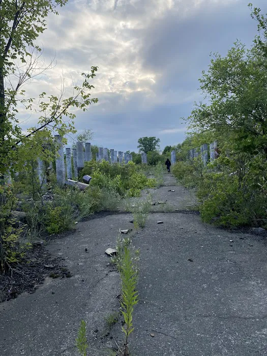 Rosemount Woods Picture 8