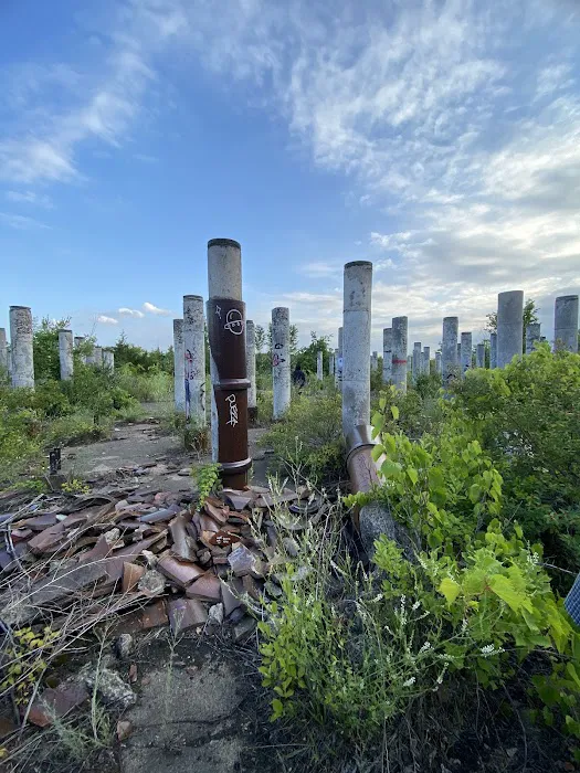 Rosemount Woods Picture 4