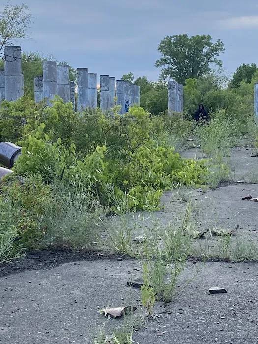 Rosemount Woods Picture 5