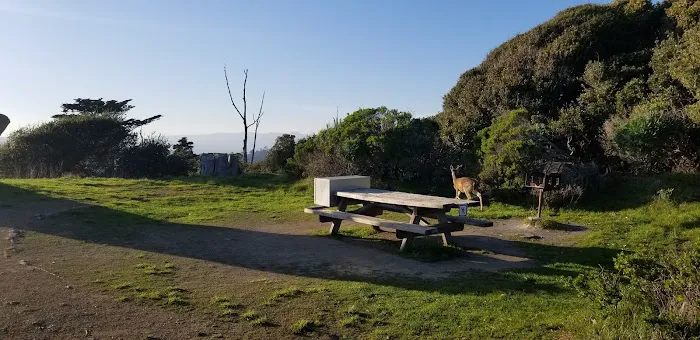 Campsite 4 Picture 2