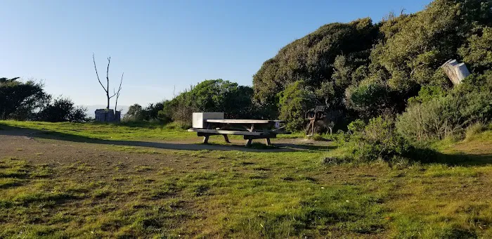 Campsite 4 Picture 1
