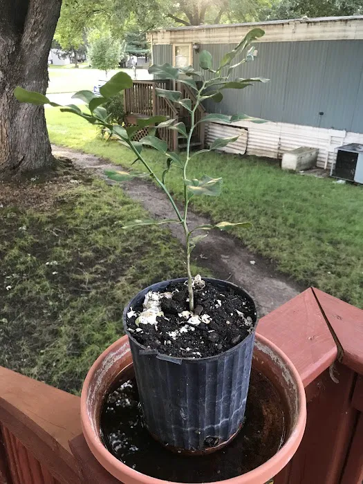 Country View Manufactured Home Community (Country View of Lakeville) Picture 6