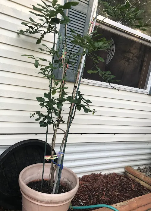 Country View Manufactured Home Community (Country View of Lakeville) Picture 3