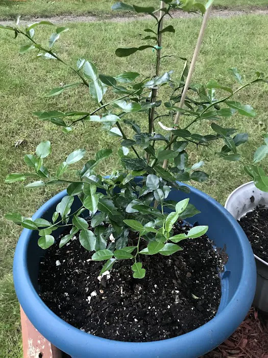 Country View Manufactured Home Community (Country View of Lakeville) Picture 8