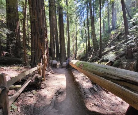 Alice Eastwood Group Campsite