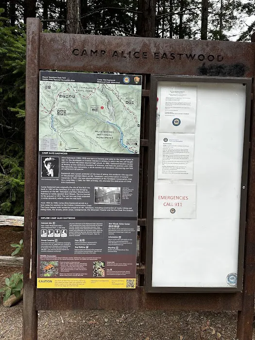 Alice Eastwood Group Campsite Picture 8