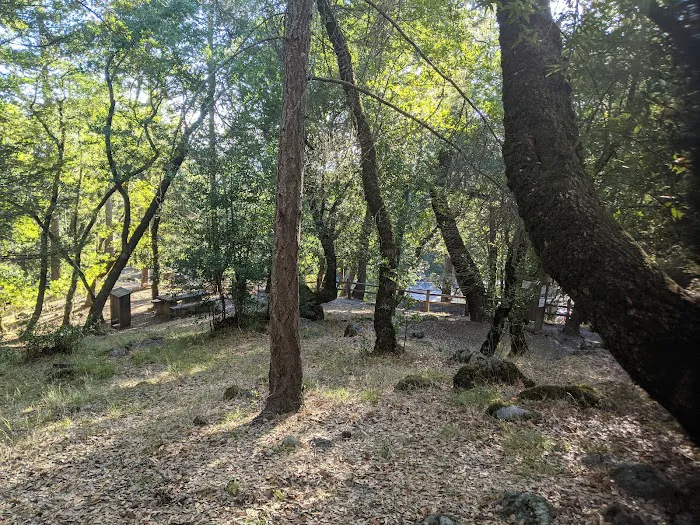 Bootjack Campground Picture 1