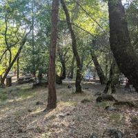 Bootjack Campground ico