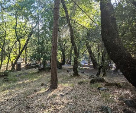 Bootjack Campground