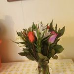 Rolling Hills Estates Mobile Homes Community