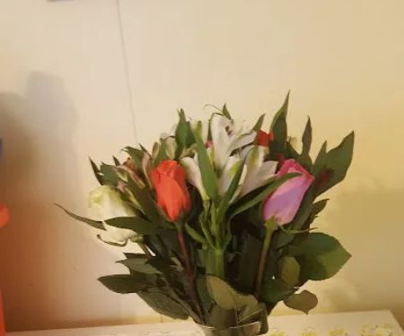 Rolling Hills Estates Mobile Homes Community