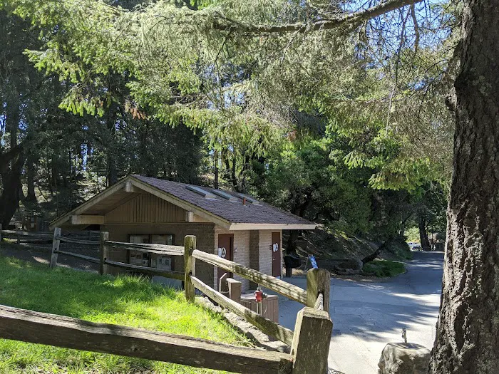 Pantoll Campground Picture 3