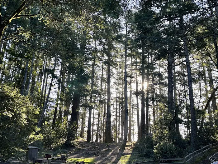Pantoll Campground Picture 8