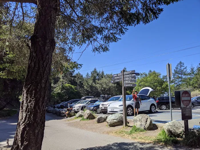 Pantoll Campground Picture 5